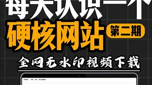 这是一个可以一键无水印下载视频的硬核网站