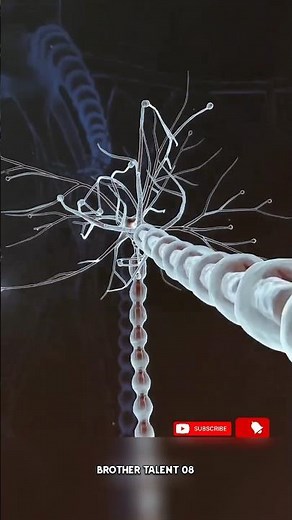 Amazing Facts About Strong Smelling Salt | You Won’t Believe #3!