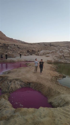 Pink lake #deadsea #amman #jordan #shorts