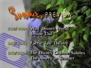 Disney Channel Summer Preview (1993) Bumper - Disney Channel