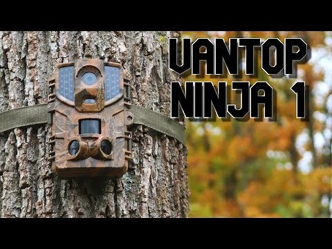 VanTop Ninja 20MP Trail Camera Field Test and Review