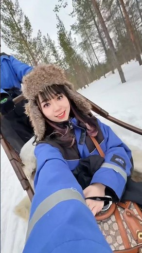 🐕🛷Dog sledge (Husky) Saariselka 🇫🇮 #rovaniemi #saariselkä #finland #dogsledge #husky