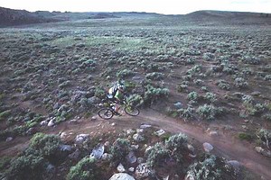 Trail users collide in crowded forests in Colorado