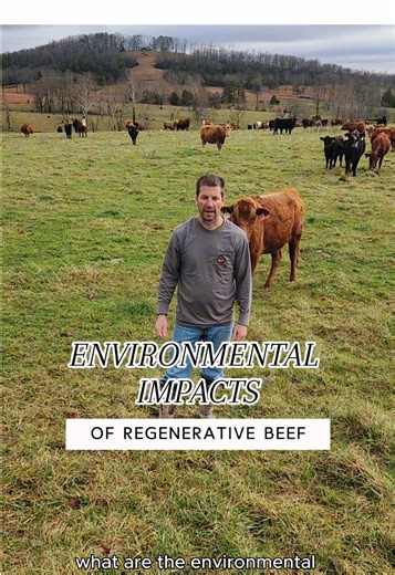 We raise beef, but we also… Mimic nature by rotational grazing, just like the bison did for thousands of years. Sequester carbon back into the soil where it belongs. Build soil health by giving our paddocks long periods of rest to recover and thrive. Improve the environment through a “solar conversion” process that turns rain and sunshine into clean, nutrient-dense food. Raise the healthiest food possible for you and your loved ones. We’re proud to be a carbon-negative operation that leaves the 