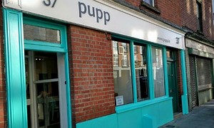 Dublin has opened its very first dog cafe