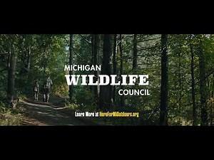 Protecting Michigan's Legacy | Deer Hunting