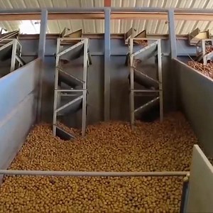 5.8K views · 26 reactions | เทคโนโลยีการแปรรูปอาหารด้วยเครื่องจักรอัตโนมัติ Food Processing Technology With Automatic Machines | บ้านระเบียงดาว โฮมสเตย์ | Facebook