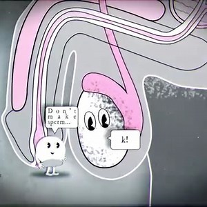 Should We Have A Male Birth Control Pill? 🤔 | Johnny Harris