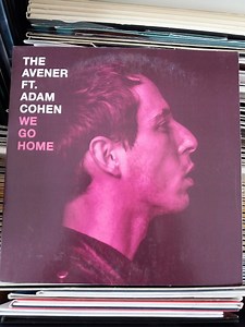 10694474-The-Avener-Ft-Adam-Cohen-We-Go-Home