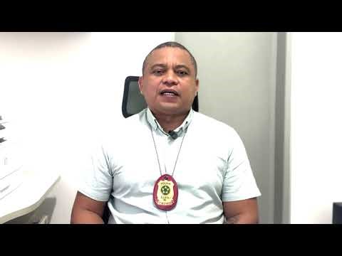 Civil Police identify driver involved in dog hit-and-run in Lagarto