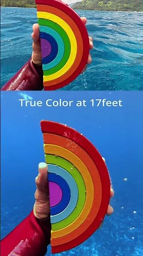 Underwater color test at 40ft/12m 🎨 DJI Osmo Action 5 Pro 🎬 ‪@roamtobewild7801‬