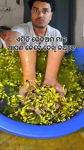 2.6M views · 28K reactions | A new species of fish has arrived which...