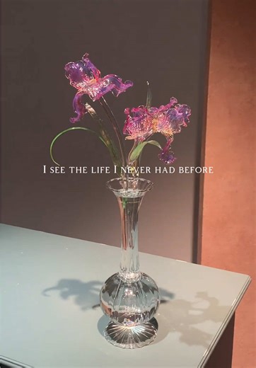 Exploring the Beauty of Single Iris Flowers