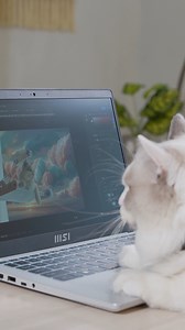 How a laptop perfectly fits your daily life? – MSI Modern 14/15 Let’s see how MSI Modern series live with your cat and survive. Learn more: https://msi.gm/Modern-14-C13X-QR | MSI Gaming | Facebook