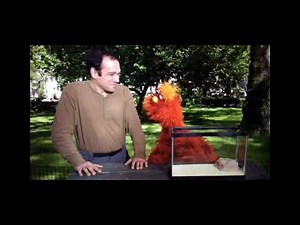 Sesame Street 4226 The Word of the day Arachnid