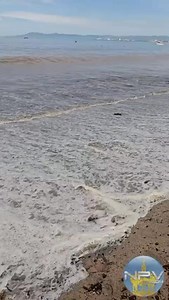Vecinos de Puerto Vallarta denuncian el estado deplorable de la playa de Olas Altas, llena de basura y mal olor, y hacen un llamado a la ciudadanía y al ayuntamiento para preservar la limpieza y belleza de una de las zonas más turísticas de la ciudad. | Noticias Puerto Vallarta