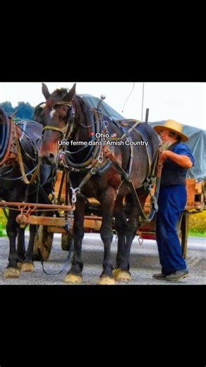 Une ferme dans l’Amish Country… la simplicité à l’état pur! 🌾🧑‍🌾 #farmlife #travel #amishlife