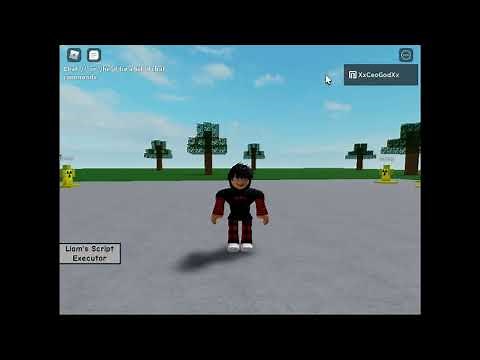 Kitchen Gun Require Script