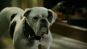 Santa Paws 2: The Santa Pups Blu-ray TV Commercial