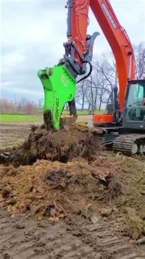 🟢 Stump Shear OMEF ST - IN ACTION with BIG STUMP #forestryequipment #forestrymachinery