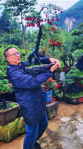 Growing Fruit Trees in Pots at Home | Easy Container Gardening #fruittree #homefarming