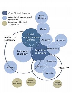 What Are the Key Characteristics of Autism?