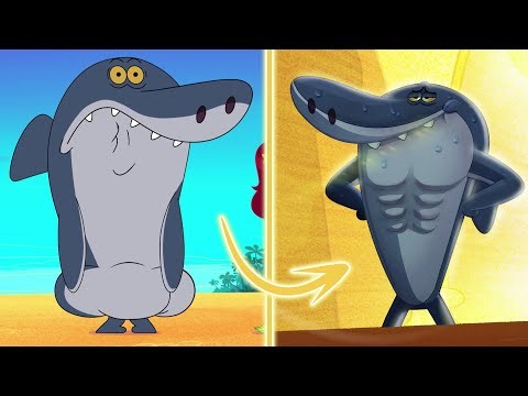 Zig & Sharko 💪 GETTING FIT - Compilation in HD