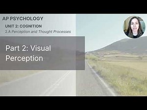 Unit 2A Part 2 Visual Perception (Updated 2025)