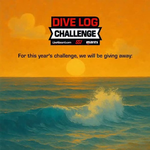 SSI International on Instagram: "In this years Dive Log Challenge, here's what you stand to win if you log your dives on the SSI app! 🥈A Mares Force-X Mask 🏅A Mares Quad 2 Dive computer Or our grand prize: 🏆1 spot on the Manta Queen Phuket Thailand We're so proud of our sponsors @maresjustaddwater and @diving.liveaboard Don't forget... get diving and get logging with SSI 🔗Find the full details on our website. Link in bio."