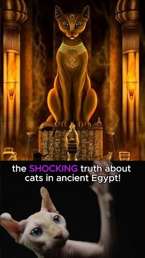 Cats were like GODS in Ancient Egypt😱! #cat #cats
