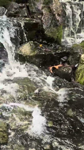 A dual waterfall cascading into one Pondless Pit.