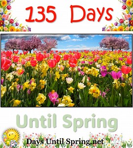 The Countdown to Spring 💛🌈🌷 🌈 👉 https://daysuntilspring.net 👈 🌸 . #Spring #Spring2025 #SpringCountdown #countdown #sunandfun #CountdowntoSpring | Spring Countdown