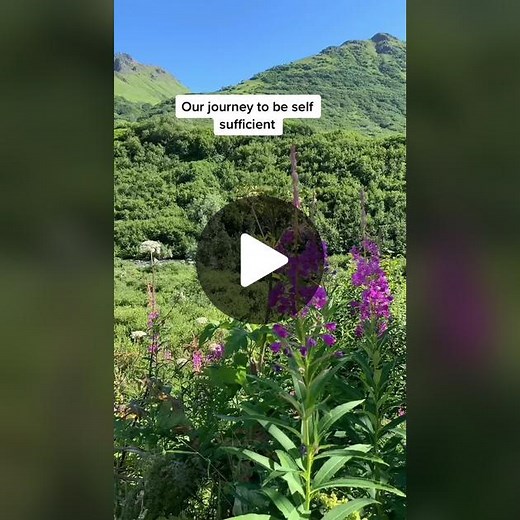 3 Year Self-Sufficient Journey: Off-Grid Living in Alaska