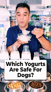 Yogurt Cheat Sheet for Pets #dogmomlife #foreverdogbook #dogsofinsta #dogfood #betterbowls #recipe #yogurt #petfood | Planet Paws