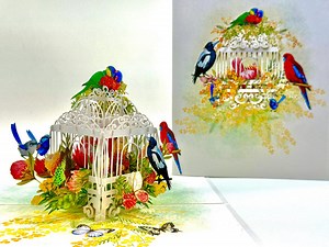 Australian Native Bird Cage With Flowers & Butterflies 3D Pop Greeting Card Handmade Australiana Shop Online Get Well Soon Any Occasion Gift - Etsy