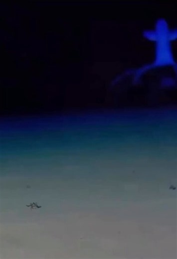 The blue creature floating over the seafloor is a Cirrothauma, the only blind octopus on Earth. Its eyes have no lens and no iris, just a bit of tissue buried in its head that can tell light from dark. It cannot see you.It lives between about a mile and three miles down, in pitch-black water just above freezing, where sunlight never reaches. One was even found under Arctic sea ice. The pressure down there is hundreds of times what you feel standing on a beach.Almost everything about it works in 