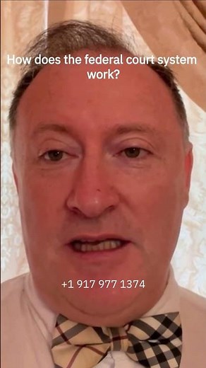 How does the federal court system work?#FederalCrimes#FederalCourtSystem#DistrictCourts#CircuitCourt