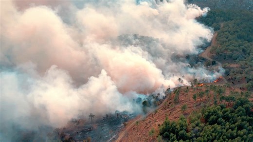 Across the Mekong region, wildfires have become a growing risk. Changes in land use, climate and weather patterns mean that communities must stay prepared throughout the year. Through community-based fire management, people are mapping fire-prone areas, planning safe burns and restoring forests. It is a continuous effort that blends traditional knowledge with science to protect livelihoods and biodiversity. Learn how community-based fire management supports national and regional strategies for f
