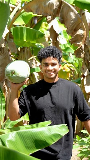 Have you ever tried winter melon candy?