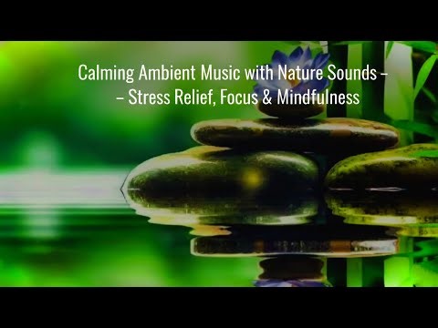 Calming Ambient Music with Nature Sounds – Stress Relief, Focus & Mindfulness
