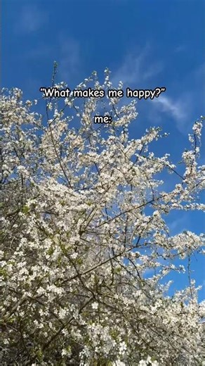 Cherry Blossom starting in England 🤍 #england #cherryblossom #nature #fyp