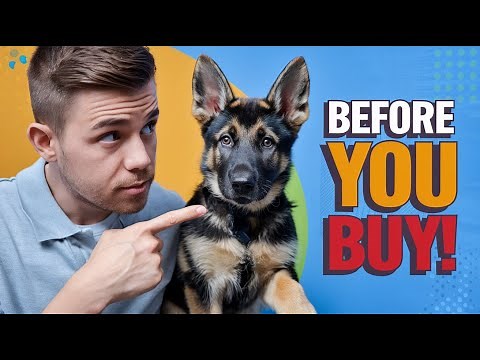 10 Things to Know Before You Buy German Shepherd Puppies