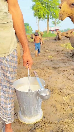 16M views · 283K reactions | Bacche ne dudh chori Kiya #funny #memes #meme #funnymemes #lol #dankmemes #comedy #fun #love #memesdaily #follow #like #humor #funnyvideos #instagram #tiktok #instagood #lmao #dank #jokes #cutebaby | Islamic lover | Facebook