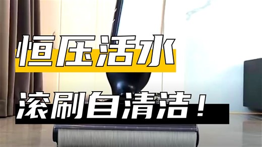 【家居清洁推荐】添可芙万MasterMax艺术家人师系列｜0缠毛75分钟长续航22000PA大吸力｜家用洗地机自清洗吸拖一体