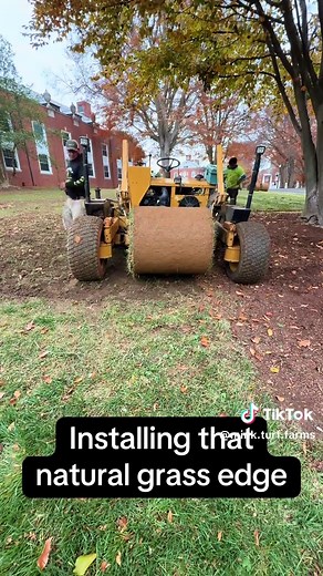 Natural Grass Edge Installation Techniques