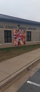 21 reactions | Hall County Animal Shelter 1688 Barber Road Gainesville, GA 30507 678-450-1587 ext 9 Hnewton@hallcounty.org Smiller@hallcounty.org Tuesday to Saturday 9 am to 4 pm | Hall County Animal Shelter Volunteers | Facebook