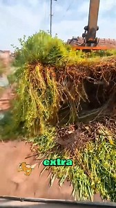 This machine is smarter than it looks—it doesn’t just cut, it calculates every move. Precision sensors. Auto adjustments. Zero waste. It thinks before it slices. #SmartMachine #TechInTools #CutWithBrains #NextGenGear | George Washington Speaks