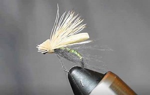 Drew from Looknfishy is back with another killer speed-tying video, this time featuring a great-looking caddisfly imitation. Here's the recipe: CDC Caddis Hook: Czech nymph hook, size 14. Thread: Tan, 6/0 or 70-denier. Underbody: Pearl Flashabou. Body: Yellow Polish quill. Coating: UV Clear Coat. Underwing: Tan foam, 3mm. Veil: CDC dark dun Wing: Elk hair Head: Tying thread. Note: Drew also ties it with ginger and olive quills. | Orvis Fly Fishing