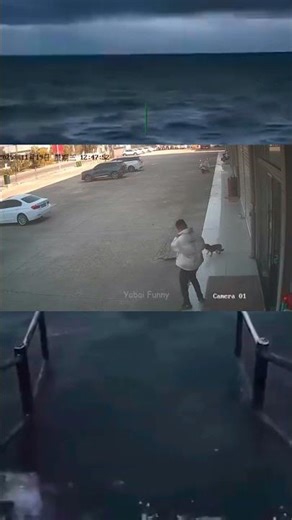 ocean comedy meme#comedymemes #shortvideo #ocean