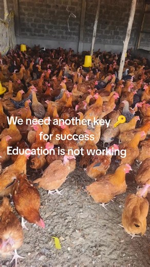 The Importance of Farming for Feeding Families and Communities